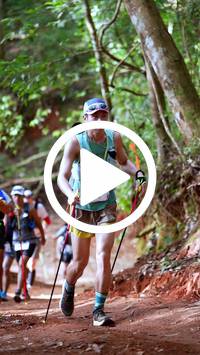 BIB:  <button type="button" onclick="openModal(27382789)" class="btn btn-primary btn-sm float-right" data-toggle="modal" data-target=".modal-high-quality">
                <i class="fa fa-download"></i> Download
                </button>